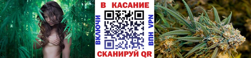 Купить закладку Алапаевск АМФЕТАМИН  Бошки Шишки  A PVP  ГАШ  Меф мяу мяу  гидра ССЫЛКА  Кокаин 