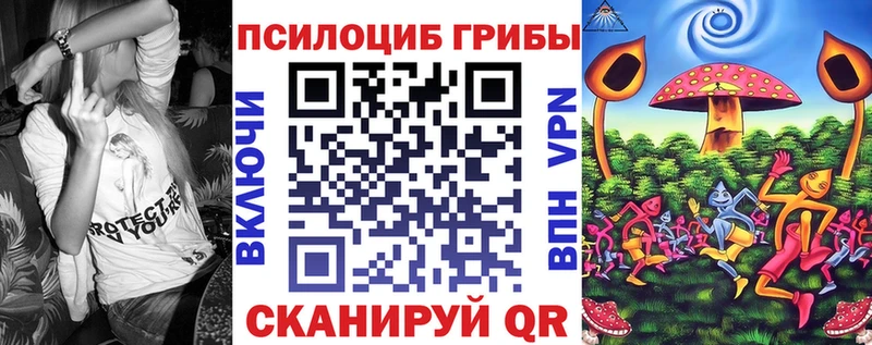 Галлюциногенные грибы Psilocybine cubensis  Алапаевск 