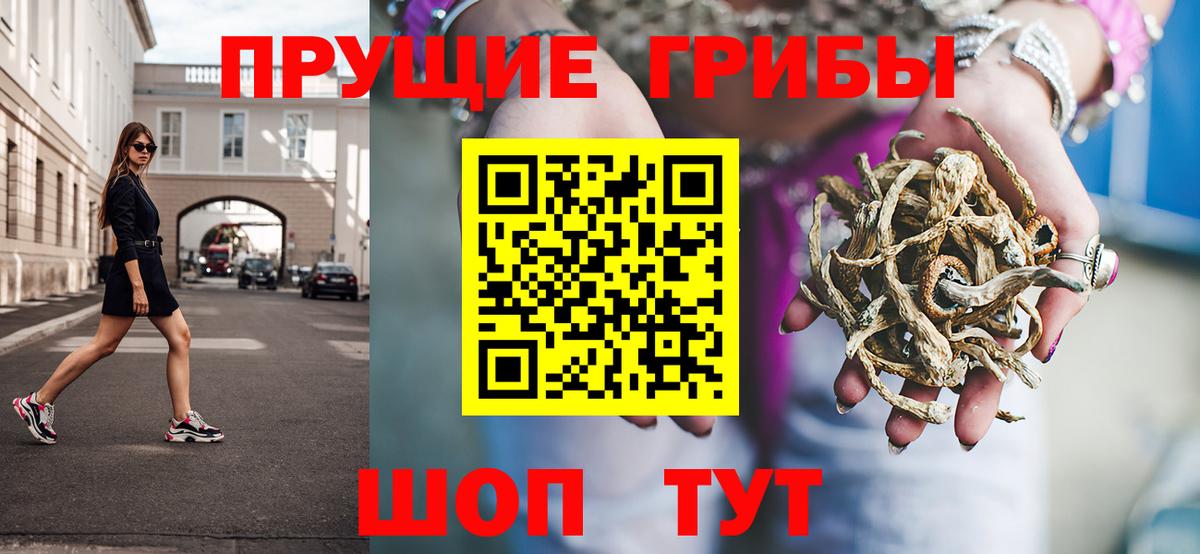 магазин продажи наркотиков  Псилоцибиновые грибы MAGIC MUSHROOMS  Вход с VPN  Галлюциногенные грибы Psilocybe  Алапаевск 