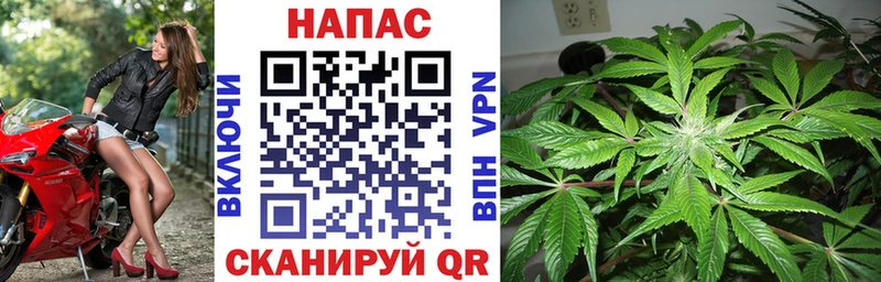 мега tor Алапаевск Канабис гибрид